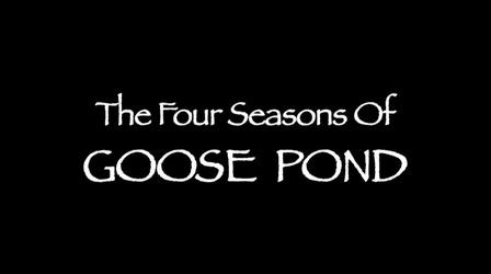 Video thumbnail: WTIU Documentaries The Four Seasons of Goose Pond
