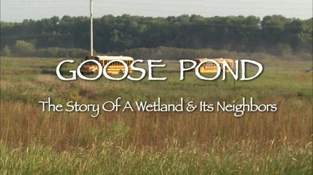 Video thumbnail: WTIU Documentaries Goose Pond: The Story of a Wetland and Its Neighbors