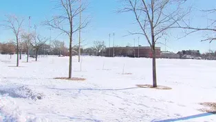 Impact of School Closings Due to Cold