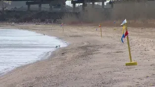 Lake Michigan Oil Spill