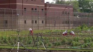Cook County Jail Faces Another Lawsuit
