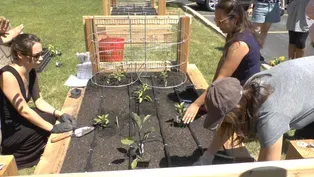 Homegrown: WTTW's Organic Garden | Planting