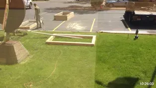 Homegrown: WTTW's Organic Garden | Timelapse