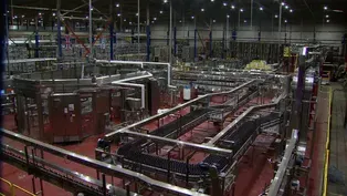 The Business of Beer