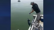 Cleaning the Great Lakes