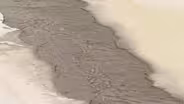 Web Extra: North Branch