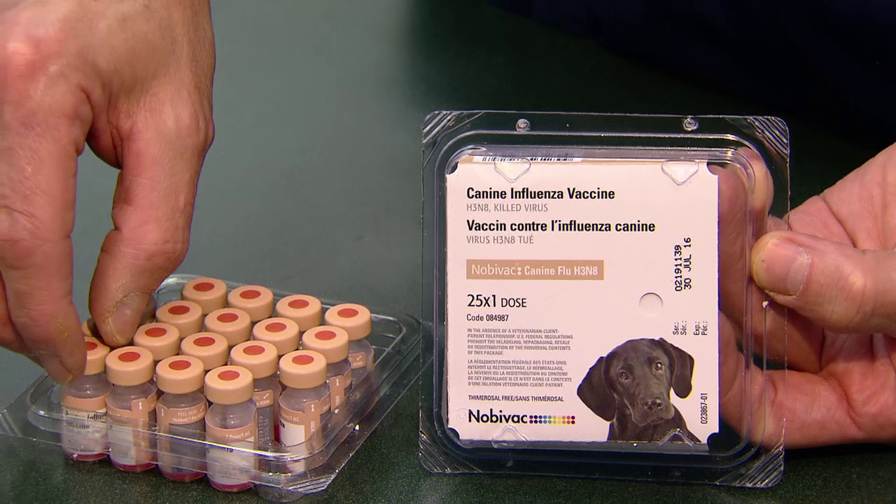 how much is the canine influenza vaccine