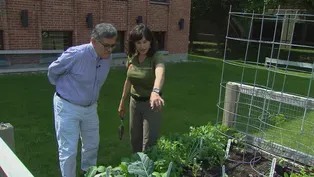 Web Extra: Planting Summer Crops