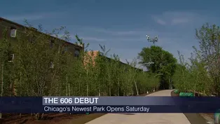 Blair Kamin on The 606