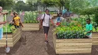 Creating Green Space in Lawndale Triangle