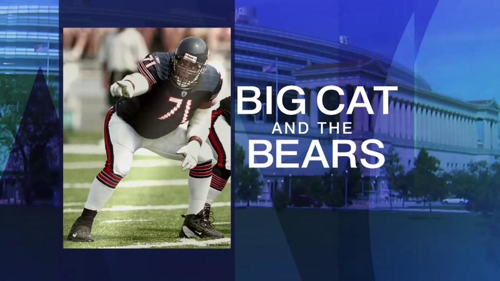 Cardinals Blast Bears 48-23 image