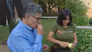 Web Extra: Jeanne Nolan in the Garden
