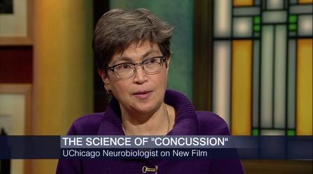 Video thumbnail: Chicago Tonight University of Chicago Neuroscientist Reacts to 'Concussion'