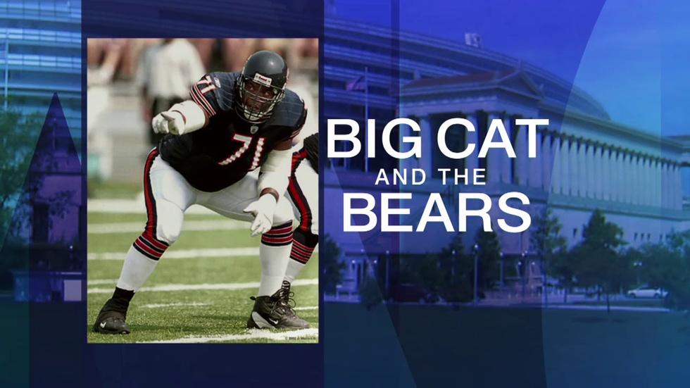 Bears Lose to Lions 24-20 image