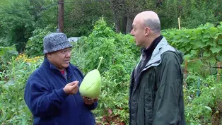 Global Garden Cultivates Hope for Refugee Farmers