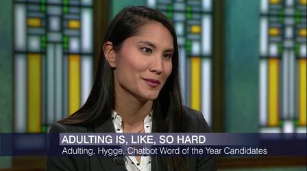 Video thumbnail: Chicago Tonight Adulting, Hygge and Xenophobia: The 2016 Words of the Year