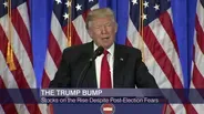 Trump Bump: Stocks on the Rise Despite Post-Election Fears