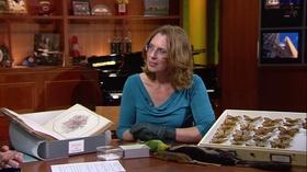 Video thumbnail: Chicago Tonight Notebaert Nature Museum Dusts Off Rare Specimens