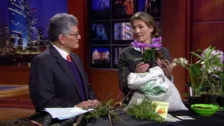 Eliza Fournier: How to Garden When the Weather Gets Weird