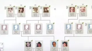 A Boom in Geneaology