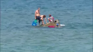 Shipwreck on Chicago's Shore Line