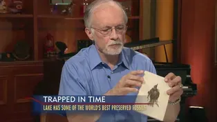 The Lost World of Fossil Lake