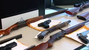 Mayor Emanuel on Tougher IL Gun Laws