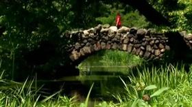 Video thumbnail: Chicago Tours with Geoffrey Baer Parks and their History