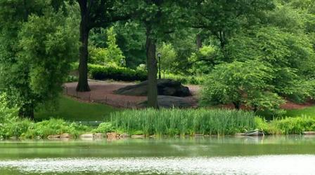 Video thumbnail: Urban Nature Central Park Plant Census