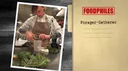 Forager-Gatherer