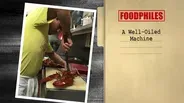 A Well-Oiled Machine