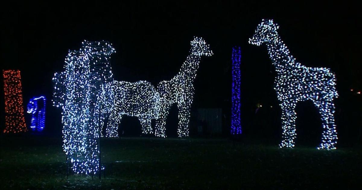Discover the D Wild Lights at the Detroit Zoo Season 13 Episode