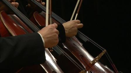 Video thumbnail: DPTV Arts & Culture 15th Annual Sphinx Competition Concert