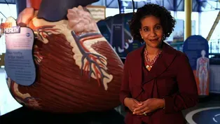 STEM Heroes | Full Broadcast