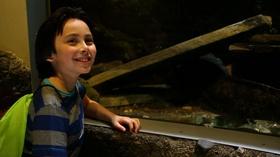 Video thumbnail: DPTV Education National Amphibian Conservation Center - Digital Adventure