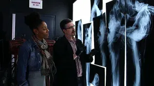 How Do Museums Study Art?