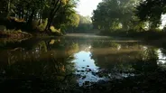 Harmful Algal Blooms - Great Lakes Now Connect: Food Supply