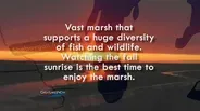 Favorite Wild Places - Great Lakes Now Connect: Wild Places