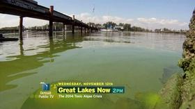 Video thumbnail: Energy & The Environment 2014 Toxic Algae Crisis Special preview - 11/12/14