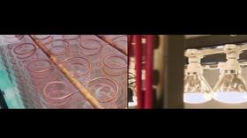 Video thumbnail: Energy & The Environment Beyond the Light Switch Promo - Parts I and II