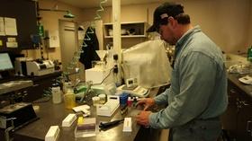 Video thumbnail: Energy & The Environment Caro - The Ethanol Effect