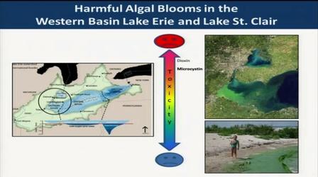 Video thumbnail: Great Lakes Now Tackling Algal Blooms in the Great Lakes | Great Lakes Forum