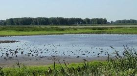 Video thumbnail: MiWeek Great Lakes Proposed Funding Cuts