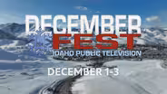 Celebrate Decemberfest