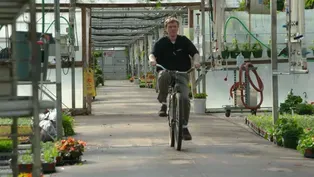 Multiflora Greenhouses