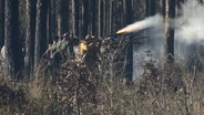 The Civil War in Florida