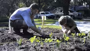 Winter Park Urban Farm