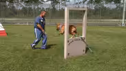 Prison Pups 'N Pals