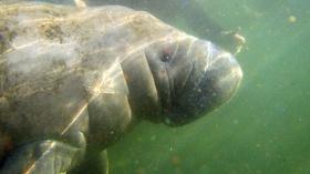 Video thumbnail: ONE CENTRAL FLORIDA Bucket List Legacy