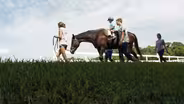 Hippotherapy
